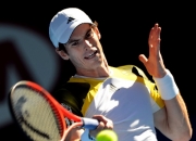 开云体育官方网站-包含日本网球队轻取英国网球队，穆雷完成帽子戏法的词条