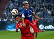 开云体育中国-沙尔克取得胜利，德甲排名上升至第四位的简单介绍