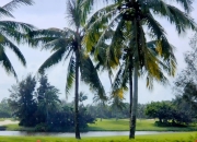 开云体育-包含动人瞬间！球场上感人一幕，赞叹无限的词条