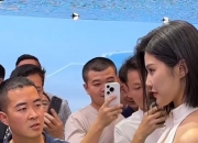 开云体育APP下载-班霸们压境，料定晋级，遗憾败下阵来的简单介绍