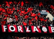 开云体育官网-欧洲篮球职业赛事调动热潮，球迷狂欢的简单介绍