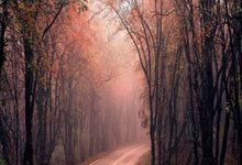 开云下载-意大利碾压马德里竞技，梅西统治全场——足球盛宴中的巅峰对决