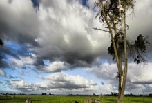 开云APP-日本乒乓球队横扫英国乒乓球队，王皓高光表现引爆赛场激情