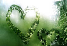 开云体育入口-西班牙网球奇迹上演——绝杀德国，费德勒爆发神勇再现巅峰