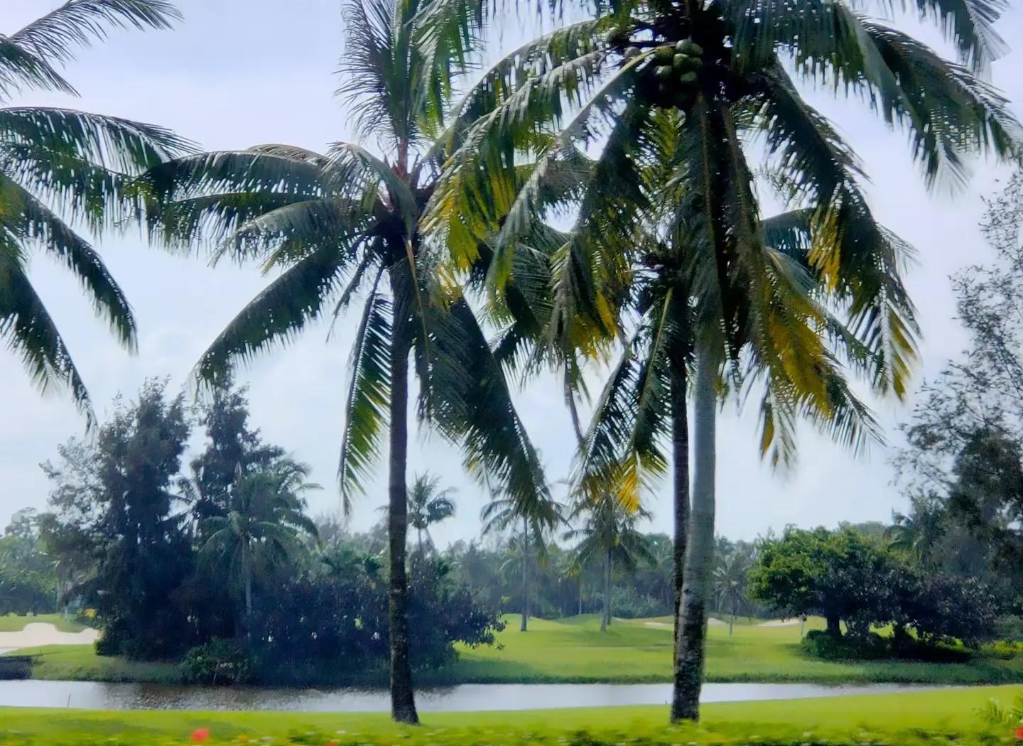 包含动人瞬间!球场上感人一幕,赞叹无限的词条 包含动人瞬间!球场上感人一幕,赞叹无限的词条