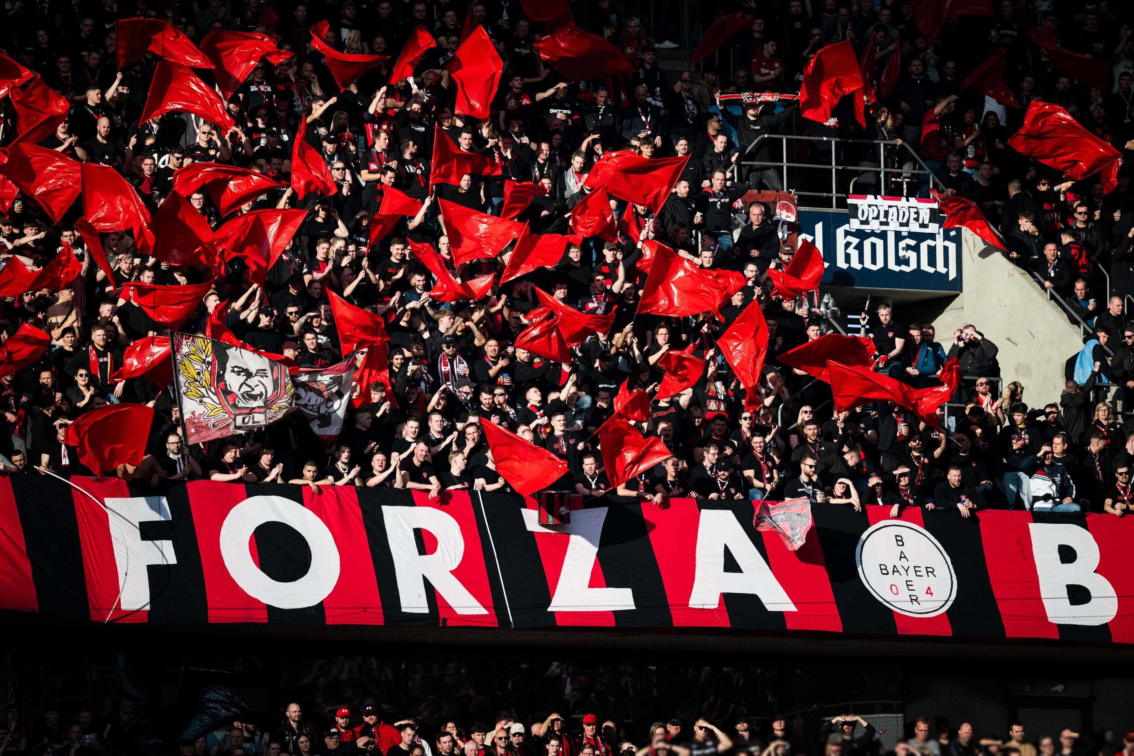 欧洲篮球职业赛事调动热潮,球迷狂欢的简单介绍 欧洲篮球职业赛事调动热潮,球迷狂欢的简单介绍