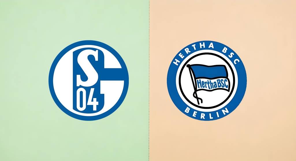 关于沙尔克04连续遭遇挫败：保级困难重重的信息