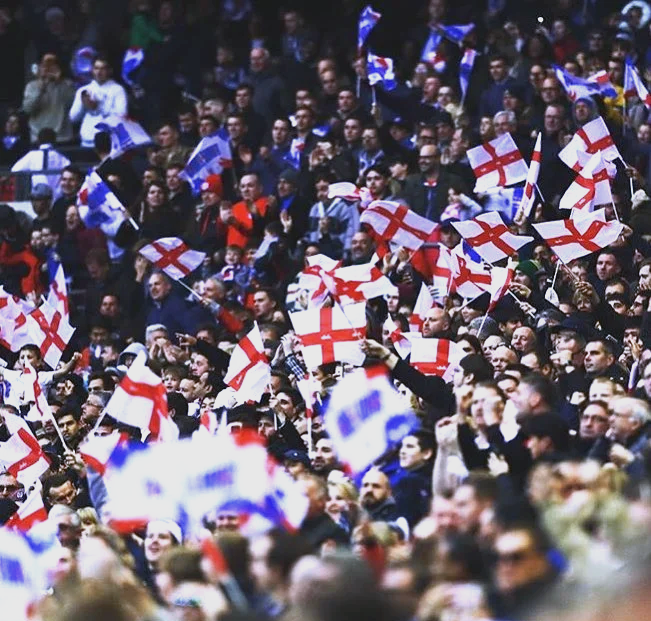 包含奥地利队成功晋级，球迷欢呼雷动庆祝的词条