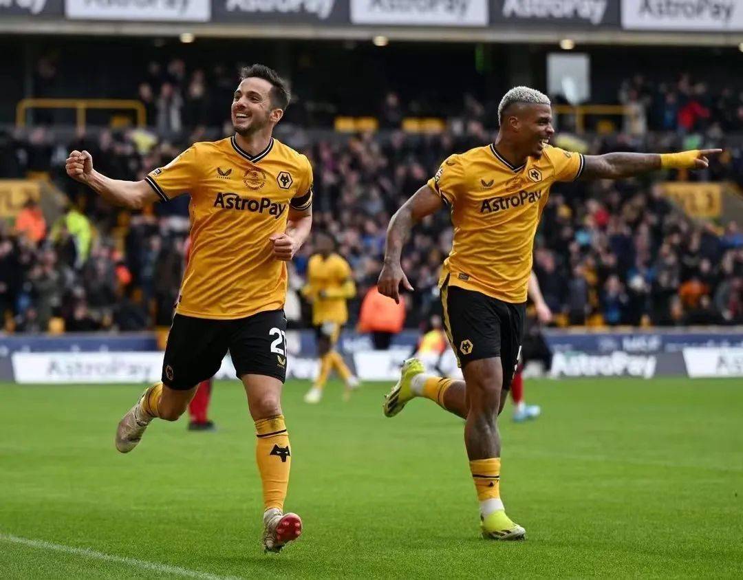 狼队主场战胜布莱顿，欧冠资格难舍难分的简单介绍