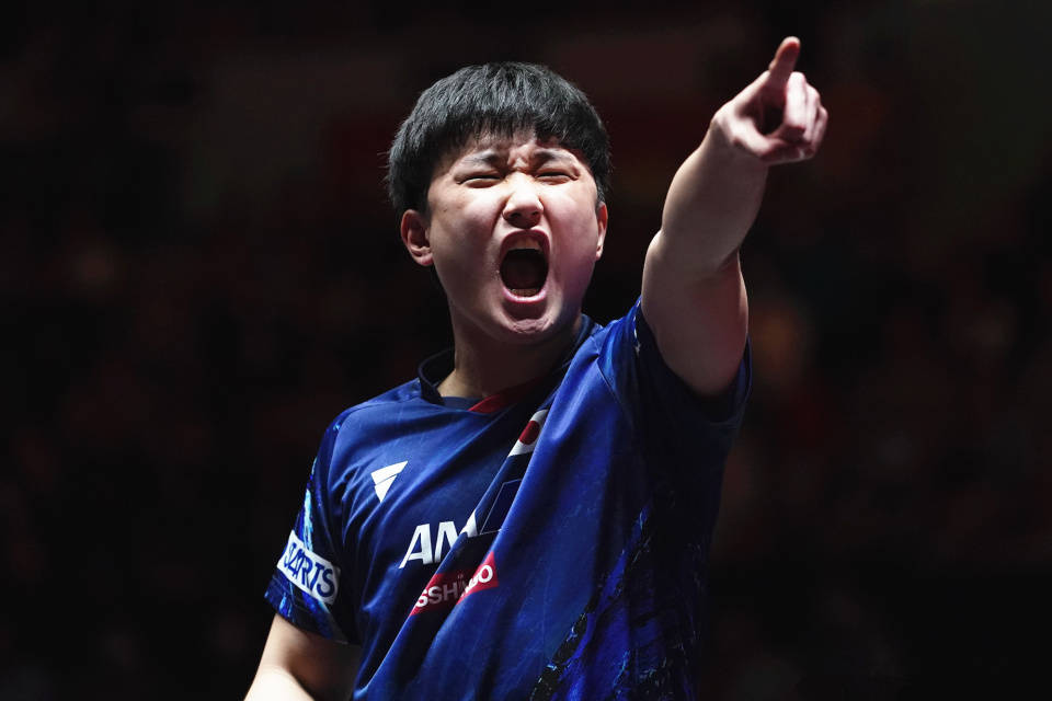 包含瑞典乒乓球队轻取奥地利乒乓球队，张本智和爆发神勇的词条